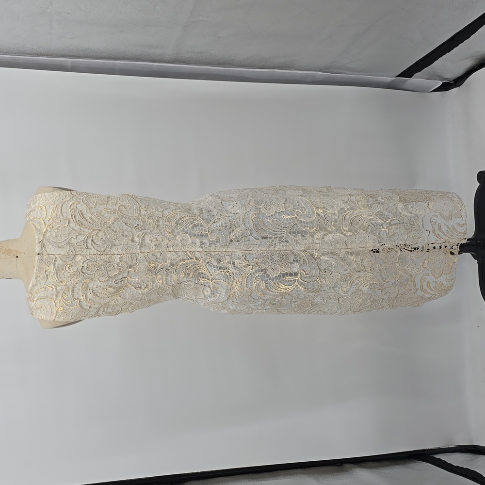 Alexia Admor Lace Sleeveless Ivory Cream Dress Size XL - Picture 4 of 9